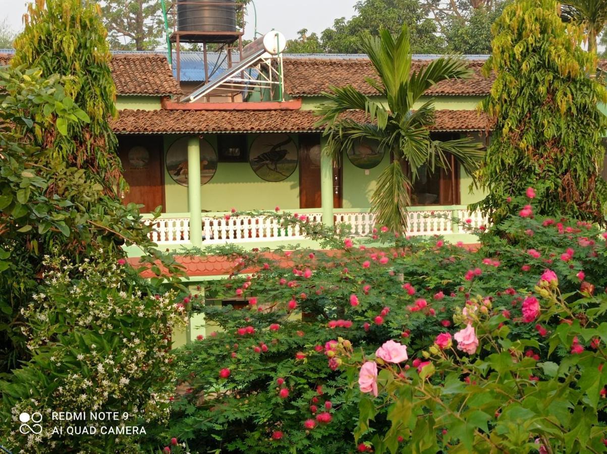 Hotel Rhino Land, Sauraha Exterior photo